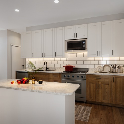 Model Kitchen 